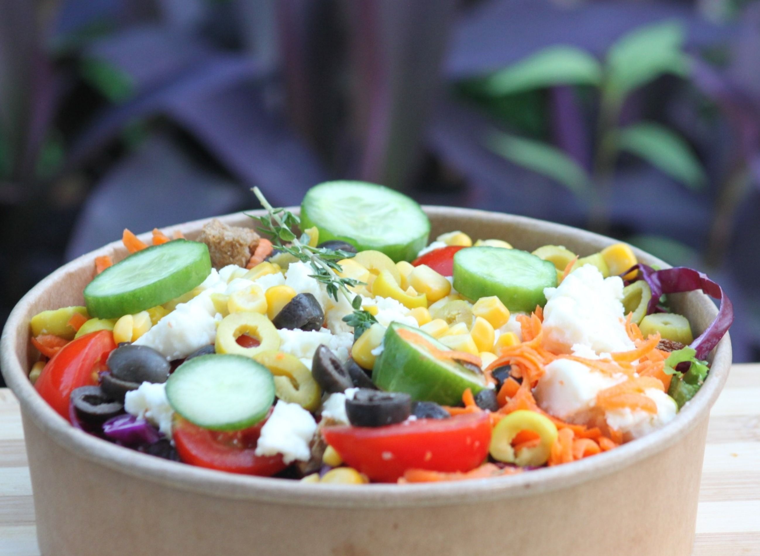 Egesin Salata vendor logo
