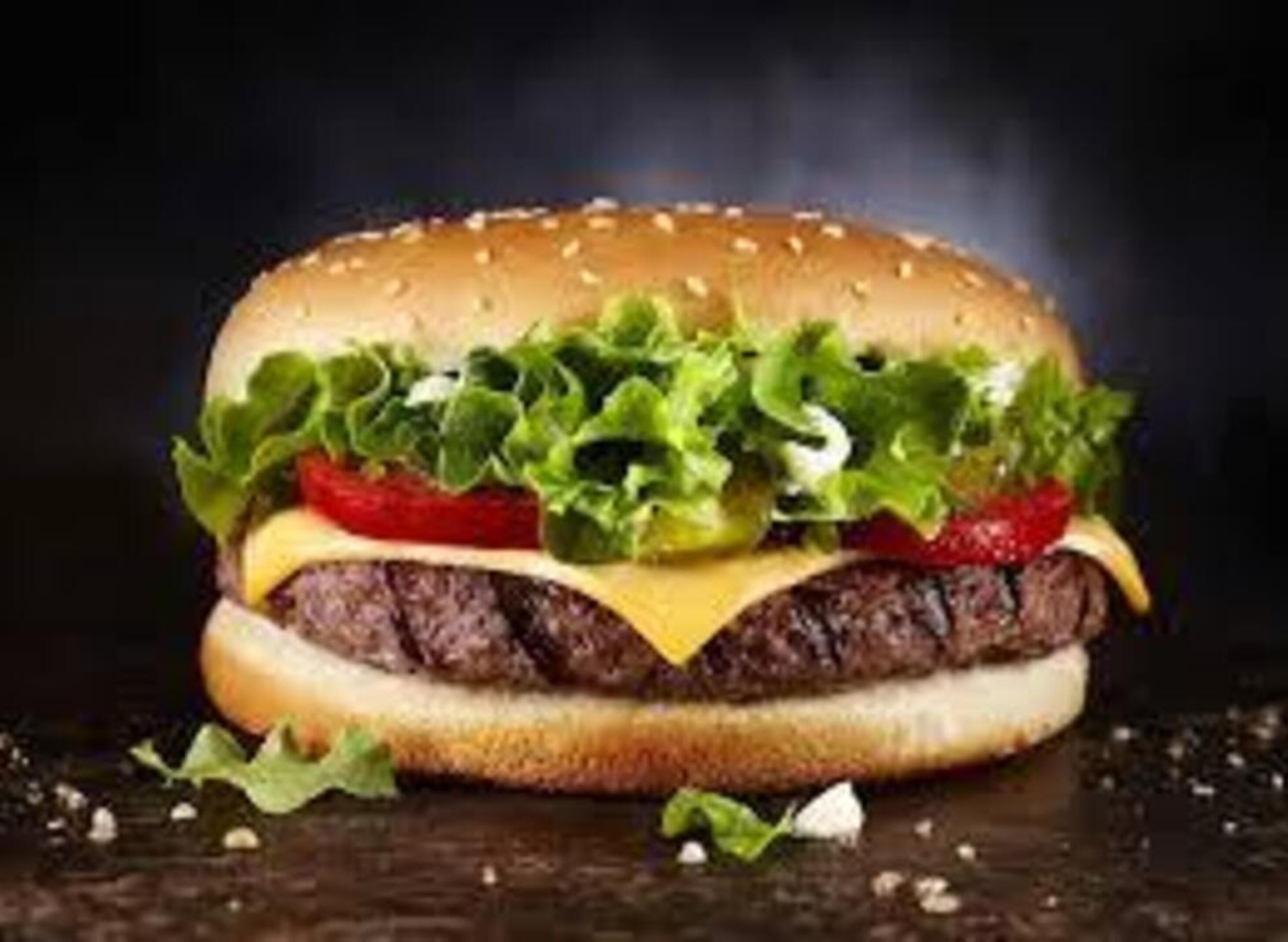 Tera Burger vendor logo