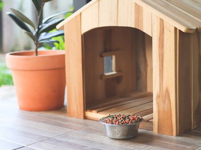Sempati Pet Shop