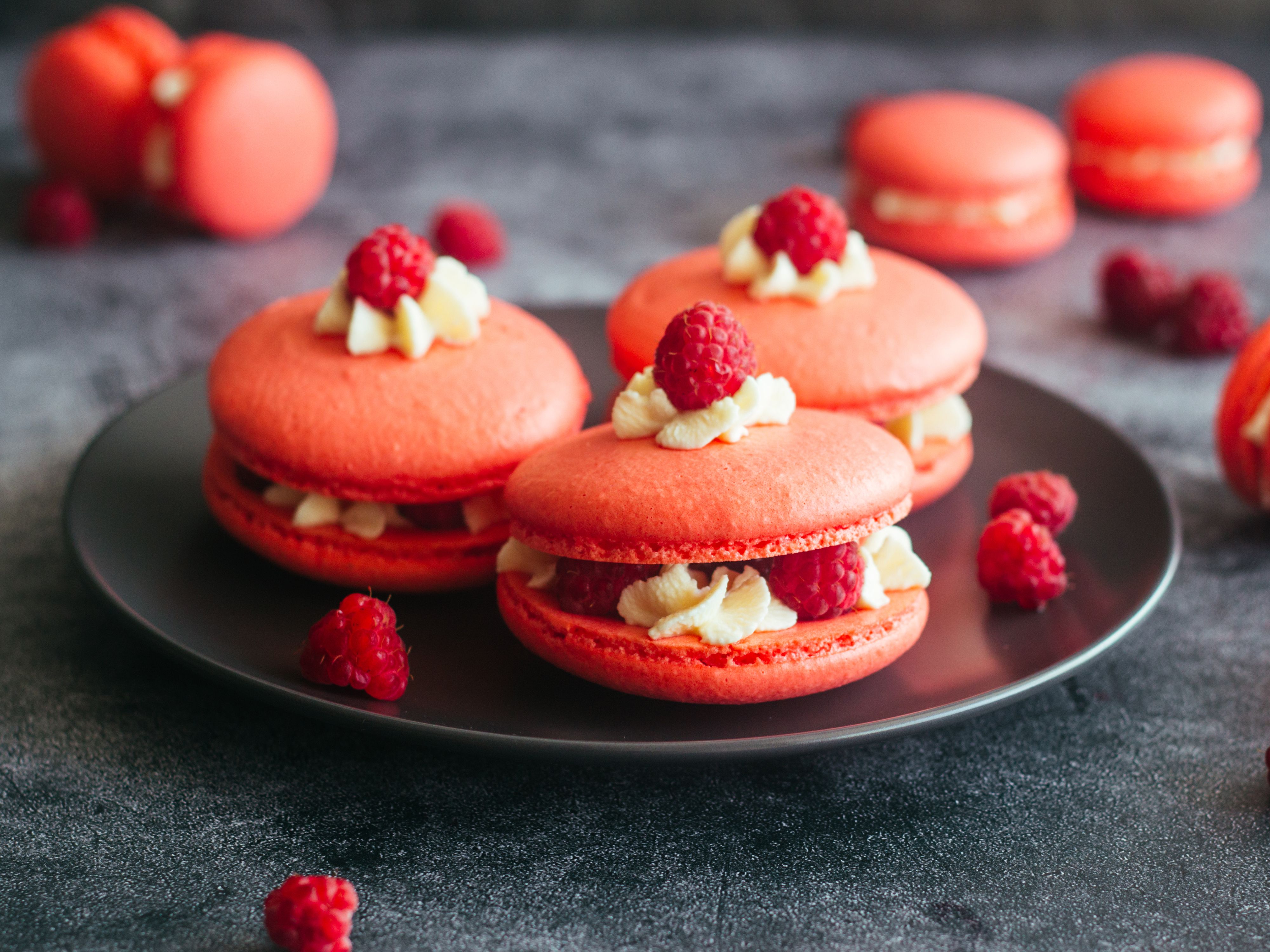 Le Macaron vendor logo