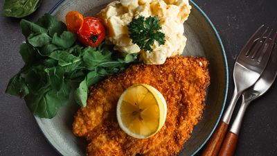 Herr Schnitzel