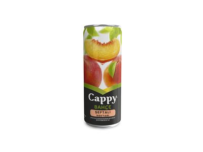 Cappy Şeftali (25 cl.)