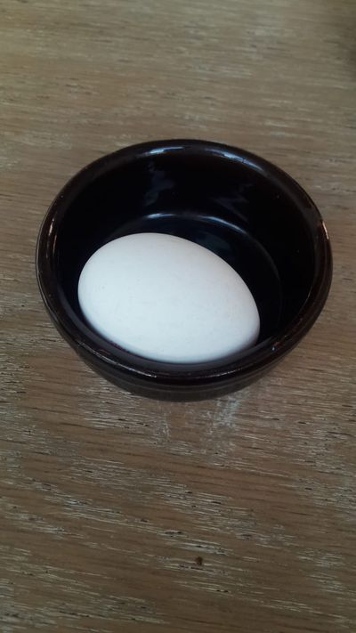 Haşlanmış Yumurta