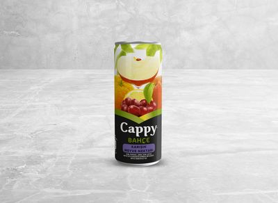 Cappy Karışık (25 cl.)