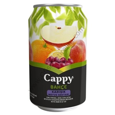 Cappy Karışık (33 cl.)