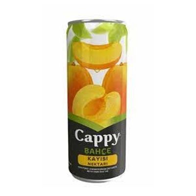 Cappy Kayısı (33 cl.)