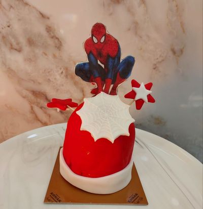 Örumcek Figürlü Pasta (Adet)