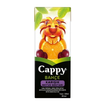Cappy Karışık (25 cl.)