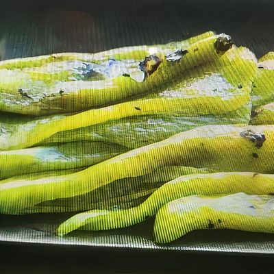 Közlenmiş Köy Biberi