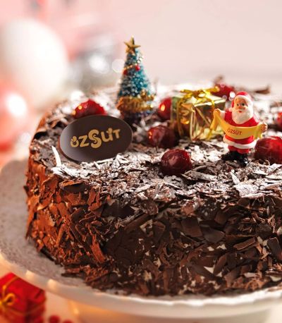 Karaorman Vişne (Glutensiz) (6-8 Kişilik)