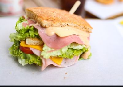 Teneffüs Panini Sandviç (Büyük)