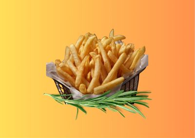 Kaşarlı Patates Kızartması (1 Kişilik)