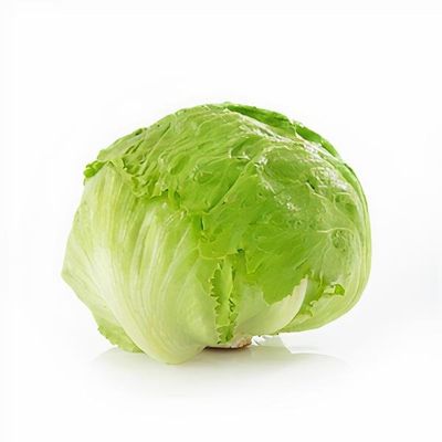 Iceberg Marul