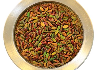 Fıstıkzade Künefe (3 Kişilik)