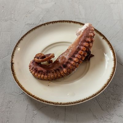 Ahtapot Söğüş