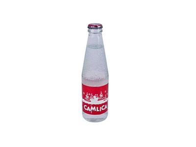 Çamlıca Gazoz (25 cl.)