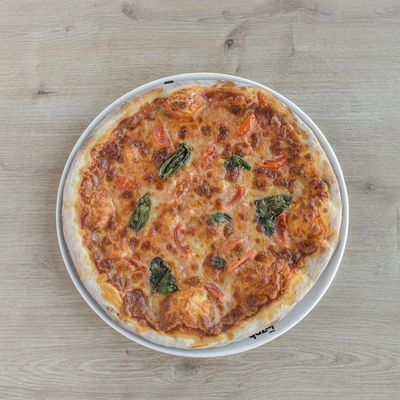 Vejetaryen Pizza (Büyük)