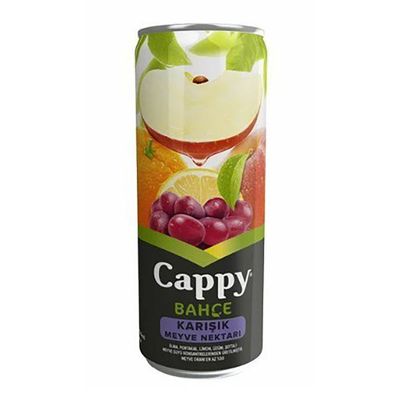 Cappy Karışık Meyve Suyu (33 cl.)
