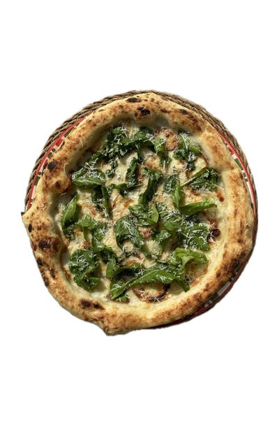 Formaggi (Büyük Boy)