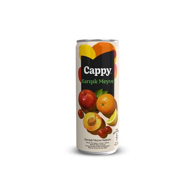 Cappy Karışık (33 cl.)