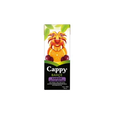 Cappy Karışık Meyve Suyu (20 cl.)