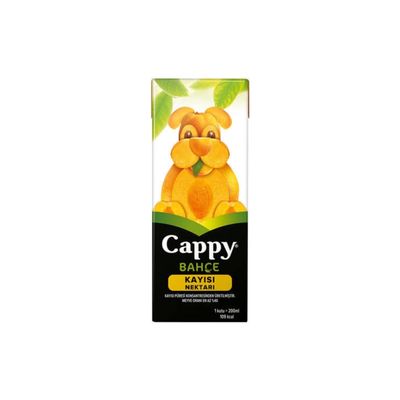 Cappy Kayısı Suyu (20 cl.)
