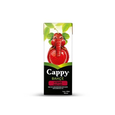 Cappy Vişne Suyu (20 cl.)