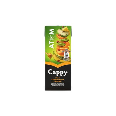 Cappy Atom Meyve Suyu (25 cl.)