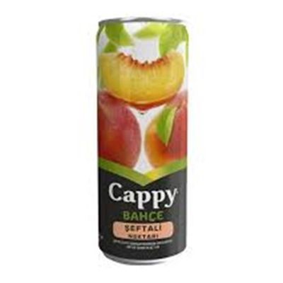 Cappy Şeftali (33 cl.)