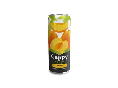 Cappy Kayısı (33 cl.)
