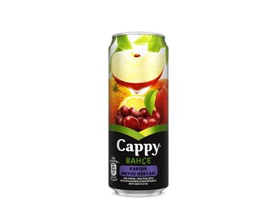 Cappy Karışık ( 33cl )
