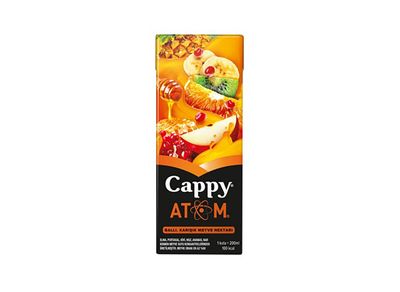 Cappy Karışık (20 cl.)