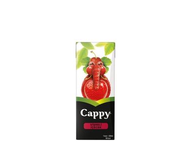 Cappy Vişne (20 cl.)