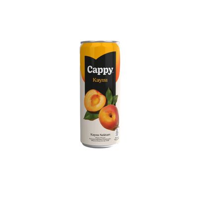 Cappy Kayısı (33 cl.)