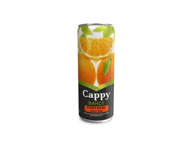 Cappy Kayısı (33 cl.)