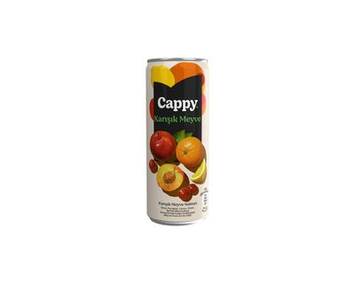 Cappy Karışık (33 cl.)