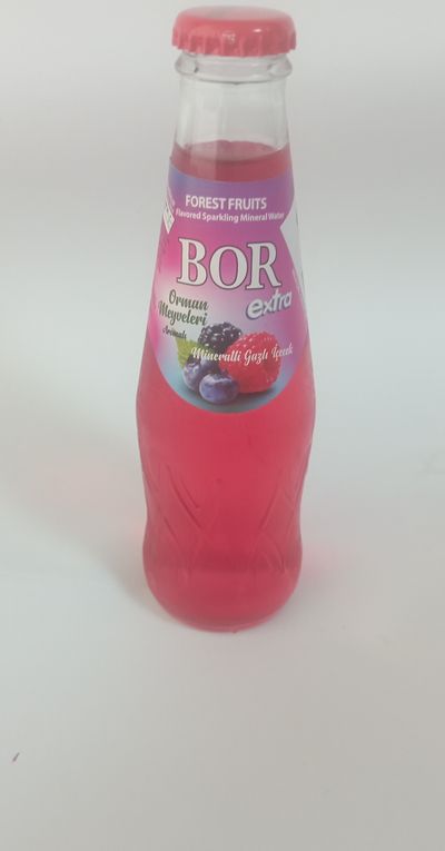 Bor Orman Meyveli Gazoz (20 cl.)