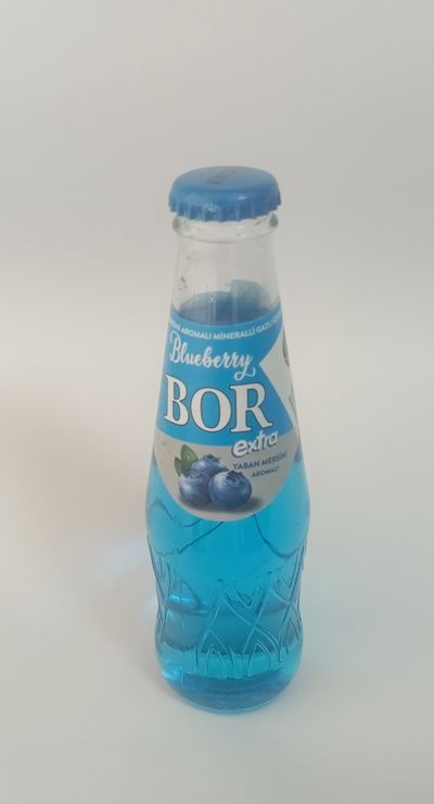 Bor Yaban Mersinli Gazoz (20 cl.)