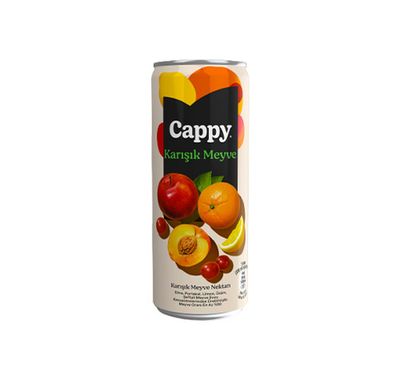 Cappy Karışık (33 cl.)
