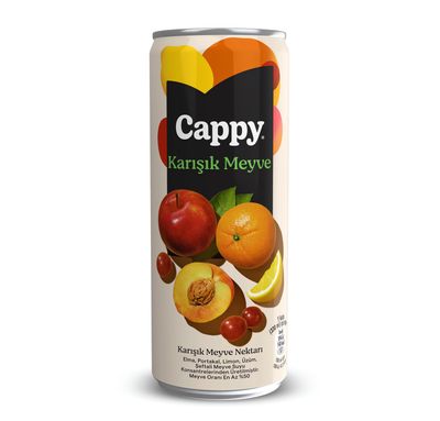 Cappy Şeftali (33 cl.)