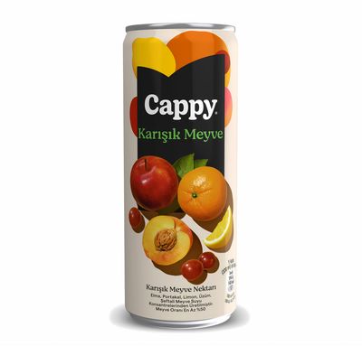 Cappy Karışık (33 cl.)