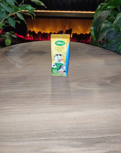 Muzlu Süt