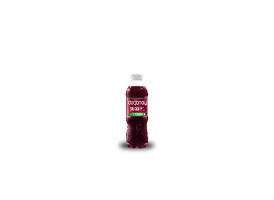 Doğanay Şalgam Suyu (30 cl.)