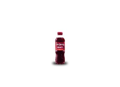 Doğanay Şalgam Suyu (Acılı) (30 cl.)