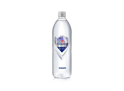 Uludağ Premium Su (40 cl.)