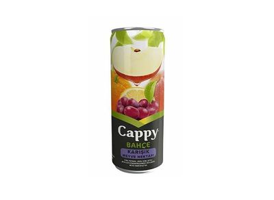 Cappy (33 cl.)