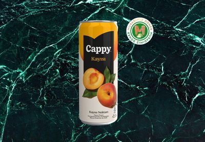 Cappy Kayısı (33 cl.)