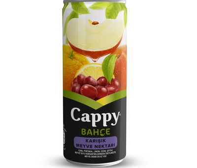 Cappy Karışık (33 cl.)