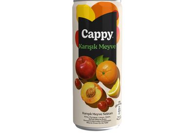 Cappy Karışık (33 cl.)