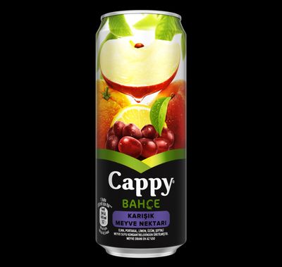Cappy Karışık (33 cl.)